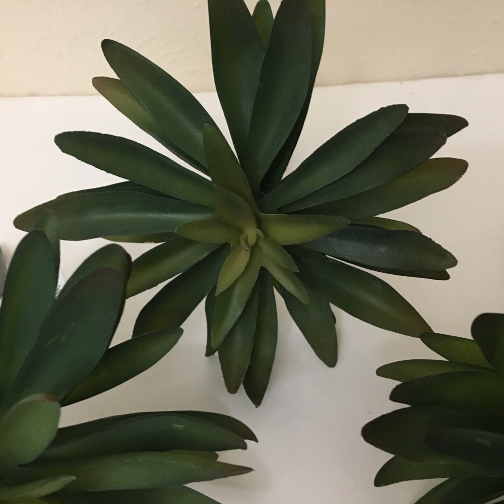 3 Hearth & Hand Faux Succulent Stem Leaves - Picture 2 of 5
